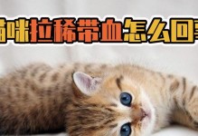 猫咪拉血怎么办？药物治疗法大揭秘！（拯救宠物健康，从治疗猫咪拉血开始！）