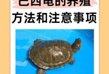 以巴西可以与哪些龟杂交？（探索巴西的多样化龟类杂交品种）