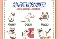 如何照顾刚出生的小猫？（宠物初体验，小心谨慎！）