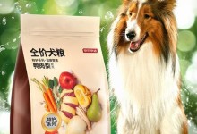 大型犬狗粮推荐-为你的宠物提供最优质的营养（大型犬狗粮的选择和喂养技巧，让你的狗狗健康快乐）
