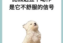 养比熊犬的注意事项（宠物狗养护指南，养比熊犬必看！）