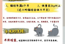 猫咪绝育术前检查的必要性（为了猫咪的健康和手术安全，绝育术前检查不可忽视）
