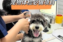 狗狗消炎食物，助力消除炎症（为你的狗狗提供健康的消炎饮食）