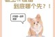 金毛幼犬打完疫苗后的关键注意事项（确保金毛幼犬健康成长的必要步骤）