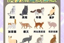 猫咪品种1秒认全（新手必看，带你快速认识各种猫咪品种）