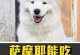 以萨摩长大后吃什么（了解以萨摩犬成年后的饮食需求）
