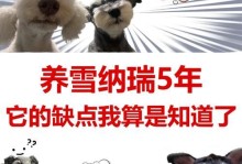 雪纳瑞呕吐怎么办？（了解不同类型的雪纳瑞呕吐情况，采取正确的处理方法）
