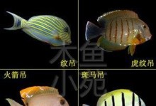 蓝纹吊的饲养方法（打造健康可爱的水族宠物生活）