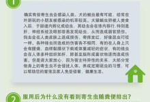 拉布拉多消化不良解决方法（宠物拉布拉多不爱吃饭？这些方法帮你解决！）