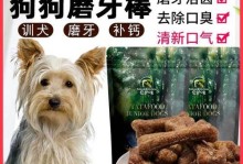 如何给宠物约克夏补钙（科学饮食、合理营养，让宠物健康成长）