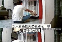 小萨摩多犬的疫苗注射时间表（了解小萨摩多犬打针的重要性与注意事项）