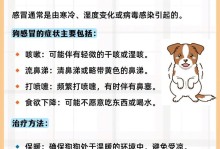如何识别幼犬患上犬瘟的早期症状（小狗狗请注意！这些症状可能是犬瘟的征兆）
