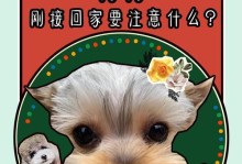 以狗狗送人需注意事项（如何选择合适的狗狗作为礼物）
