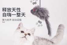 探究猫咪弹跳的神秘力量（揭秘猫咪弹跳的高度和原理，猫咪宠物主人必看）