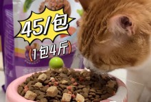 1个月大的小猫的饮食需求（了解小猫的主要食物及喂养时间安排）