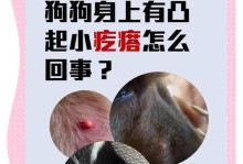 解析恶霸犬头上的疙瘩（了解恶霸犬头上的疙瘩类型及其影响）