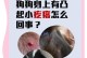 解析恶霸犬头上的疙瘩（了解恶霸犬头上的疙瘩类型及其影响）