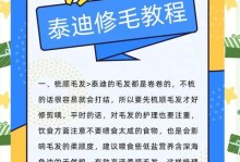 如何养好一只贵宾犬？（关注细节，打造幸福的伴侣生活）
