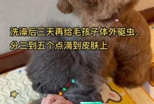 大狗生产后多久能洗澡？（洗澡是为了大狗的健康与舒适）