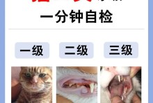 养猫经验篇（了解口炎治疗费用和有效措施，让你的猫咪远离口腔问题）