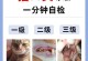 养猫经验篇（了解口炎治疗费用和有效措施，让你的猫咪远离口腔问题）