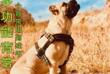 以德牧幼犬训练为主的宠物养护指南（打造优秀品种的关键在于科学训练）