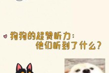 猫咪还是狗狗（探究猫咪和狗狗的听觉能力，揭秘谁更聪明一些）