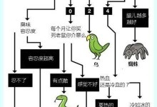 咸水泥彩龟饲养全攻略（学会这些方法，让你的咸水泥彩龟健康长寿）