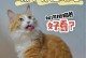 猫咪是否上瘾零食？（如何判断和预防猫咪对零食的上瘾）