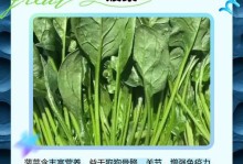 狗狗美毛食谱（探索狗狗蔬菜美毛的奇妙力量）