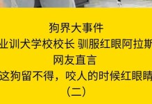 狗咬人为什么不松口？（揭秘狗咬人不松口的原因与解决方法）