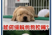 狗拉稀后多久能喂食？（科学喂食时间是保障狗狗健康的关键）