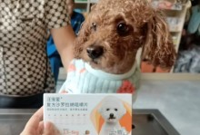 长须柯利牧羊犬的饲养方法（宠物爱好者必看，让你的狗狗健康成长）