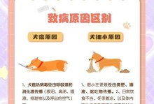 犬细小（探究犬细小病毒的传播途径及治疗方法）