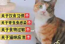 怀孕猫咪拉稀的原因及处理方法（了解为什么怀孕的猫咪会拉稀，并采取适当措施进行处理）