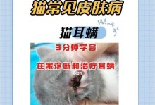 小猫耳炎、感冒的症状及预防措施（宠物小猫常见疾病的预防控制）