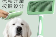 如何发现大白熊幼犬是否生病（以宠物为主，轻松掌握常见症状）