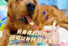 狗狗吃钙片（了解狗狗吃钙片的好处和正确使用方法）
