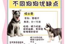 家养适宜的体味轻狗狗品种（了解体味轻狗狗品种，选择适合家庭的宠物伙伴）