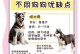 家养适宜的体味轻狗狗品种（了解体味轻狗狗品种，选择适合家庭的宠物伙伴）