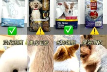 狗狗的合理饮食规划（每日饮食次数与饲料摄入量探析）