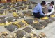 养玳瑁海龟的必备设备（打造舒适生活环境，关爱玳瑁海龟健康）