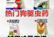 如何让狗狗不叫？（探索药物管理的有效方法）