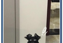 小白新手铲屎官们要避开的5种最难养的狗狗（新手铲屎官们一定要注意，这些狗狗可不是那么好养哦！）