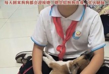 揭秘公狗哭泣的原因（探索公狗哭泣的心理和行为特征）