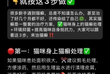 治疗猫咪猫癣的方法与建议（探索猫藓治疗的有效措施与预防方法）