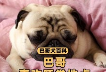 巴哥犬三个月大一天需要睡眠多久？（探究幼犬睡眠需求和管理方法）