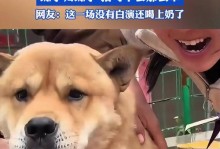 小狗的健康成长与适宜奶类饮食（探索小狗所需奶类饮食的最佳选择）