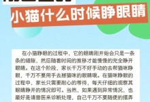 如何养活一只没有睁眼的猫（关爱无眼的小生命，教你照顾弱小幼猫的秘诀）