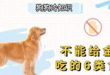 金毛牙齿出血的原因与治疗方法（了解金毛牙齿出血的病因及有效措施，让宠物恢复健康）